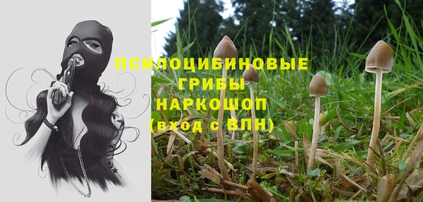 mix Алексин