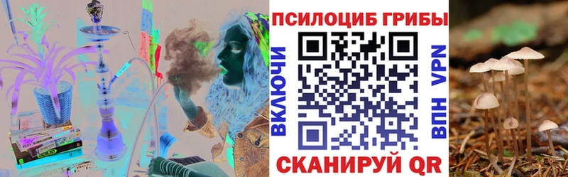 Галлюциногенные грибы мицелий  наркошоп  Гремячинск 